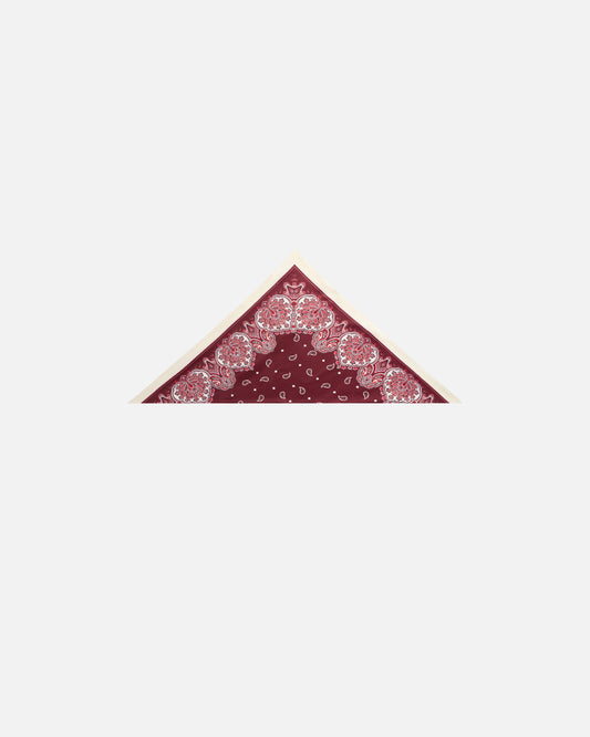 Triangular scarf with floral paisley print